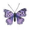 Decorative Butterfly