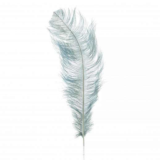 Decorative Feather