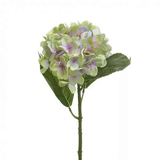 Flower Branch