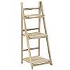 Shelf/Ladder