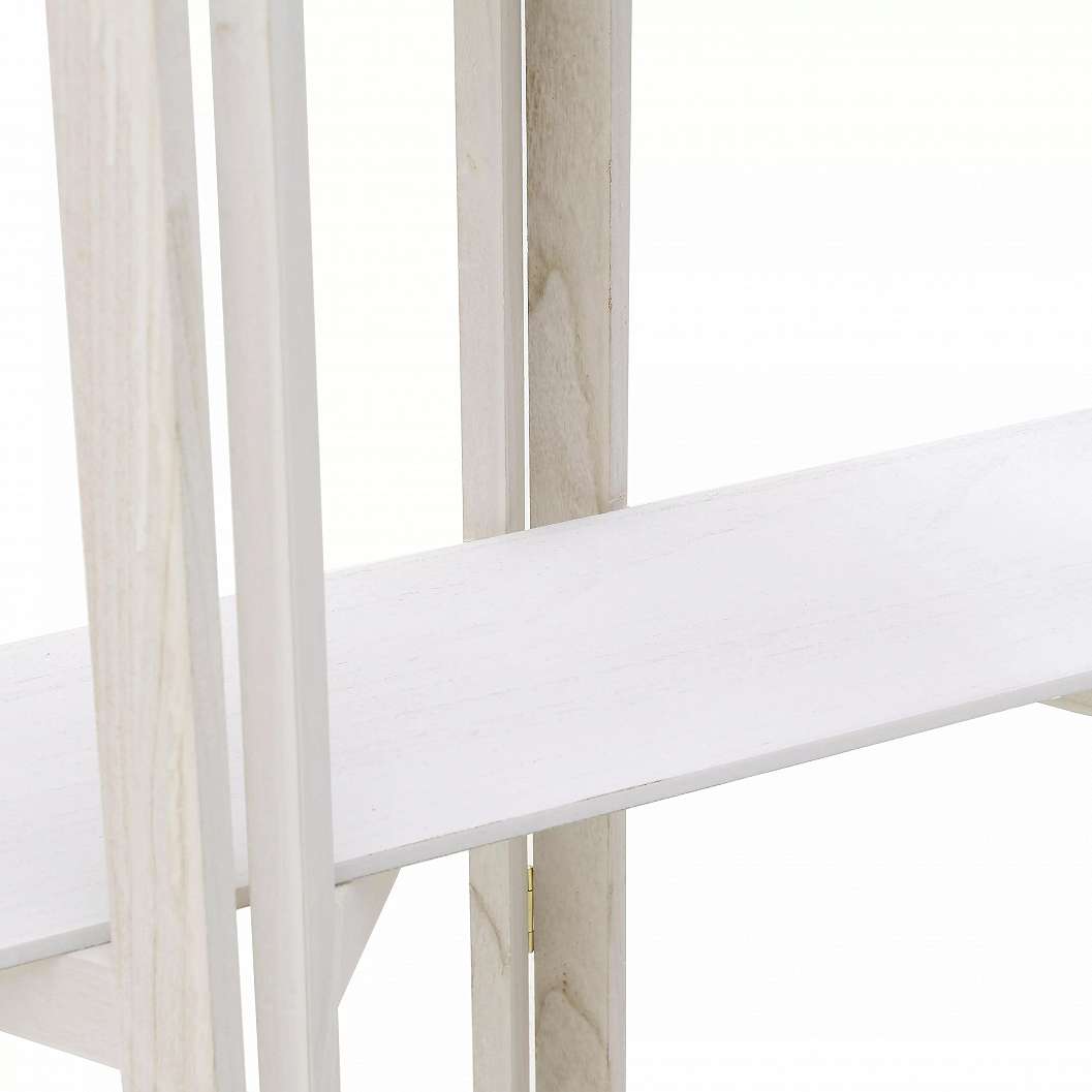 Shelf/Screen
